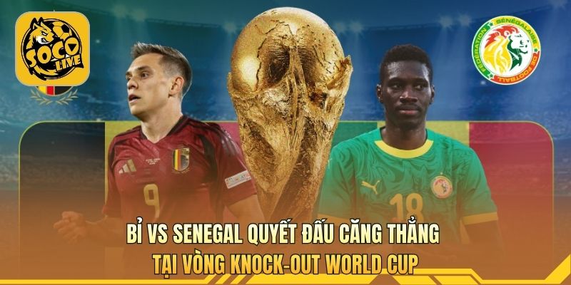 Bỉ vs Senegal quyết đấu căng thẳng tại vòng knock-out World Cup