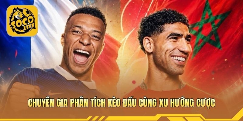 Chuyên gia phân tích kèo đấu cùng xu hướng cược